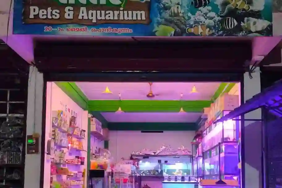 Photos of Little pets & Aquariam Ponkunnam, Ponkunnam, Kottayam,| September 2024 - RectoPages