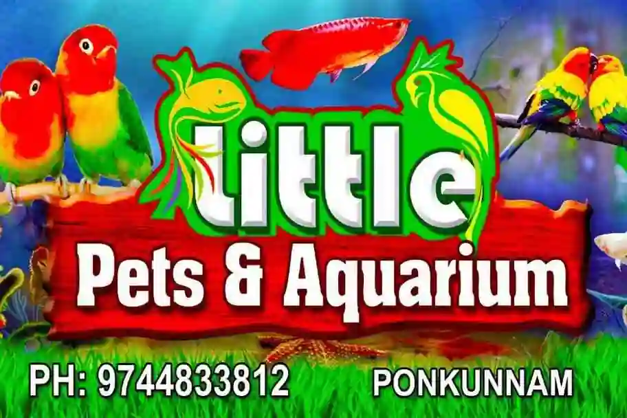 Photos of Little pets & Aquariam Ponkunnam, Ponkunnam, Kottayam,| September 2024 - RectoPages