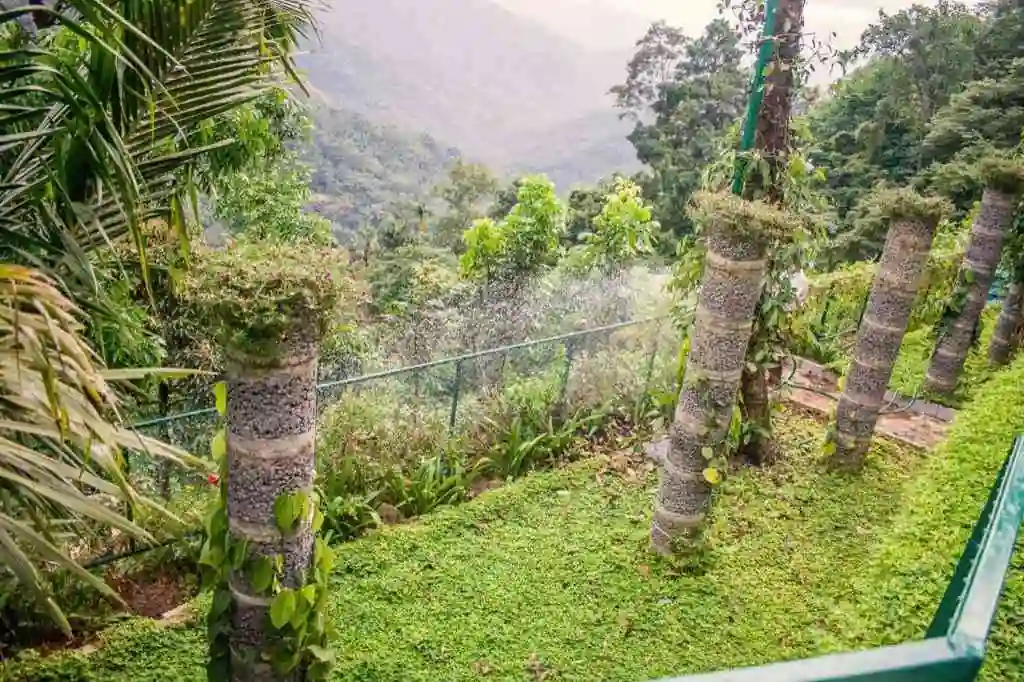 Photos of Serenity Panchalimedu, Panchalimedu, Idukki,| September 2024 - RectoPages