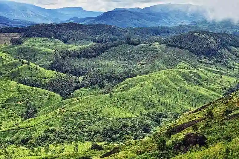 Photos of Pothamedu View Point, Munnar, Idukki,| September 2024 - RectoPages